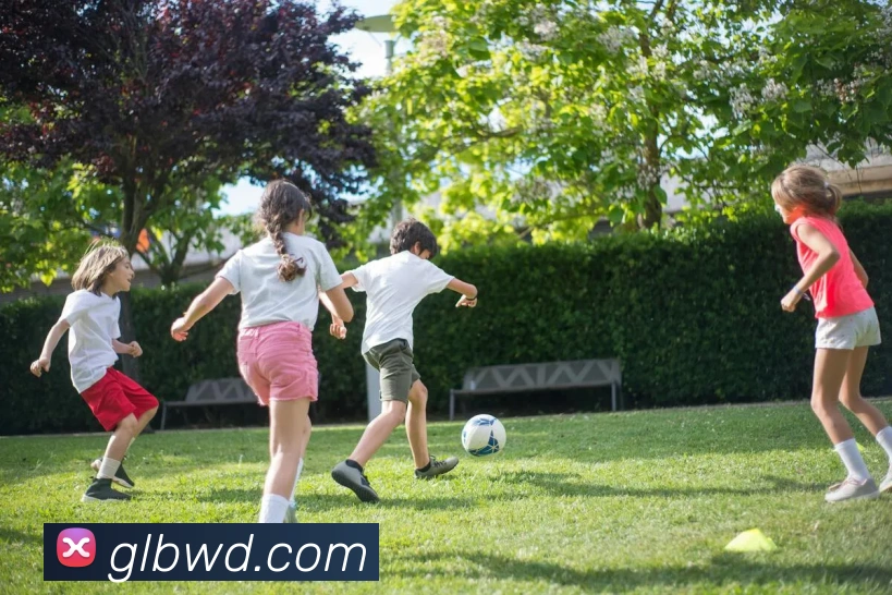 问鼎官网入口APP 封面图